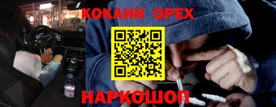 прущие крисы Кандалакша