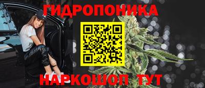 тгк Канаш