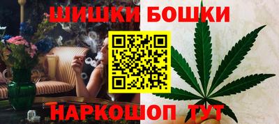 тгк Канаш