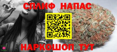 PSILOCYBIN Камышлов