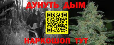 PSILOCYBIN Камышлов