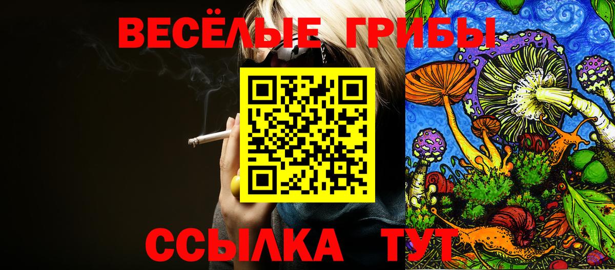 Галлюциногенные грибы Magic Shrooms  купить наркотики цена  Железногорск  Вход с VPN 